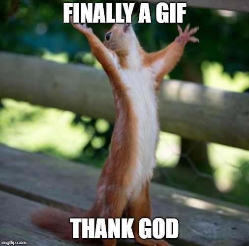 finally | FINALLY A GIF THANK GOD | image tagged in finally | made w/ Imgflip meme maker