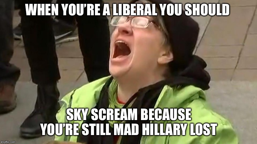 Sky Screamer | WHEN YOU’RE A LIBERAL YOU SHOULD SKY SCREAM BECAUSE YOU’RE STILL MAD HILLARY LOST | image tagged in sky screamer | made w/ Imgflip meme maker