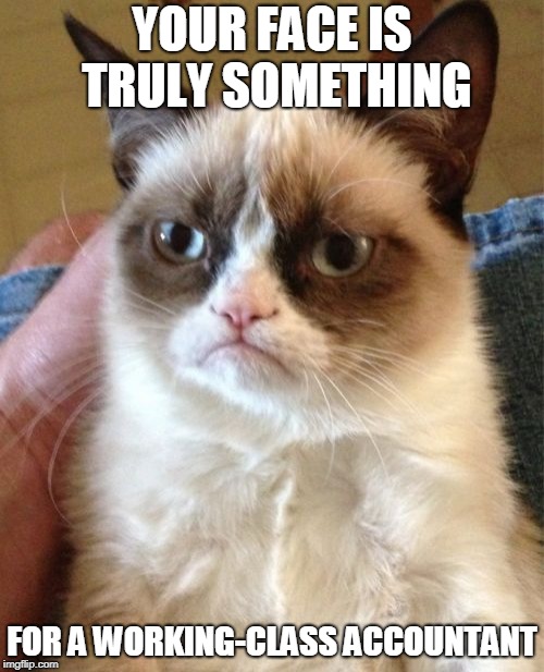Truth Hurts | YOUR FACE IS TRULY SOMETHING; FOR A WORKING-CLASS ACCOUNTANT | image tagged in memes,grumpy cat,funny,working class,face,grumpy cat not amused | made w/ Imgflip meme maker