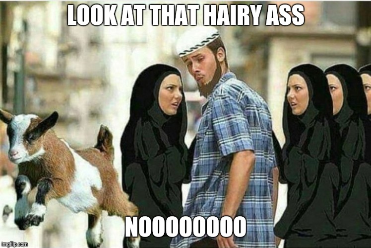 Distracted imam |  LOOK AT THAT HAIRY ASS; NOOOOOOOO | image tagged in distracted imam | made w/ Imgflip meme maker
