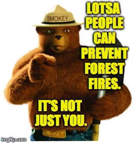 Hell, you don't even camp. | LOTSA PEOPLE CAN PREVENT FOREST FIRES. IT'S NOT JUST YOU. | image tagged in smokey bear,memes,relax | made w/ Imgflip meme maker