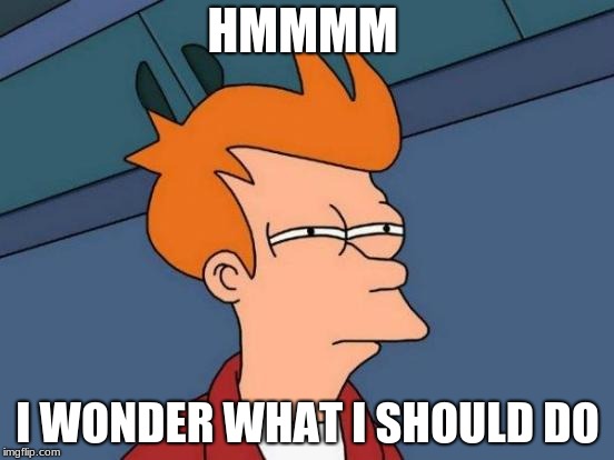 Futurama Fry | HMMMM; I WONDER WHAT I SHOULD DO | image tagged in memes,futurama fry | made w/ Imgflip meme maker