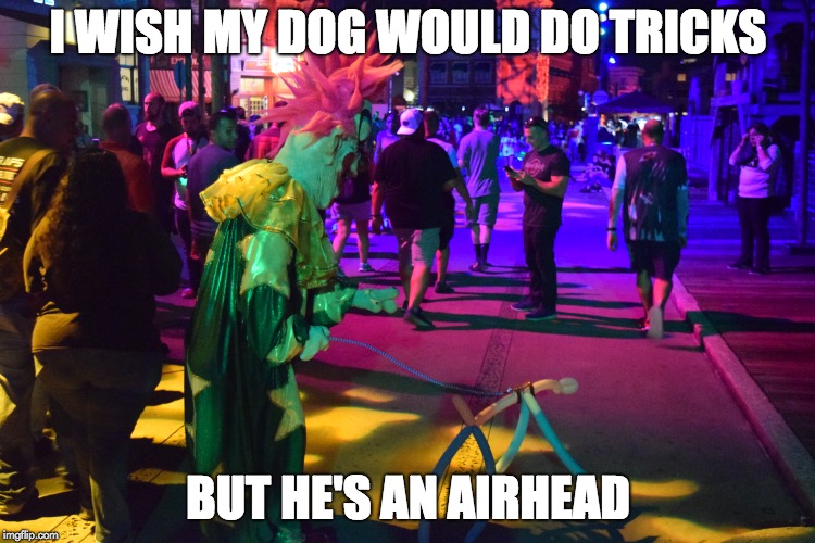 Killer Klown walking dogs | I WISH MY DOG WOULD DO TRICKS; BUT HE'S AN AIRHEAD | image tagged in clown,bad pun dog | made w/ Imgflip meme maker