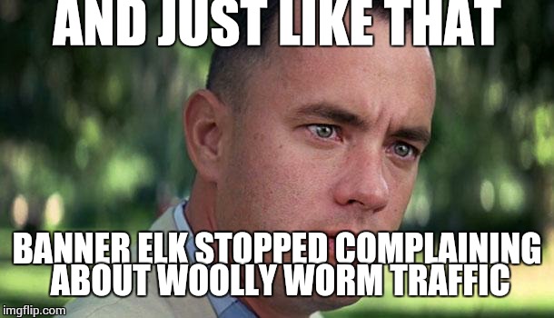 Just when you get over the urge to destroy those slow driving tourists and are ready to Wace, weather happens. | AND JUST LIKE THAT; BANNER ELK STOPPED COMPLAINING ABOUT WOOLLY WORM TRAFFIC | image tagged in forest gump,can of worms,north carolina,weather,festival | made w/ Imgflip meme maker
