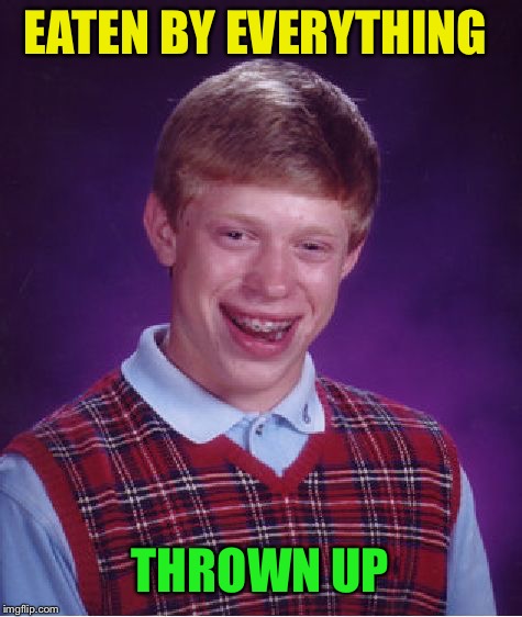 Bad Luck Brian Meme | EATEN BY EVERYTHING THROWN UP | image tagged in memes,bad luck brian | made w/ Imgflip meme maker