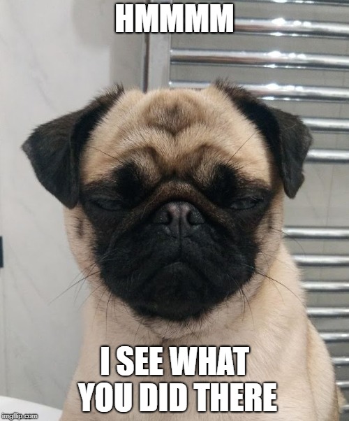 HMMMM; I SEE WHAT YOU DID THERE | image tagged in cynical pug | made w/ Imgflip meme maker