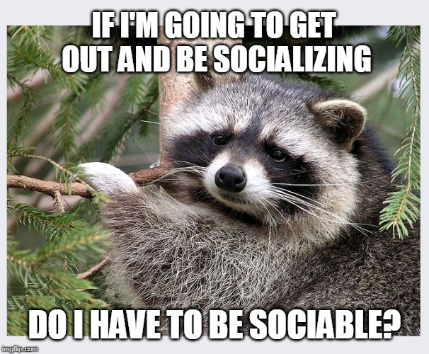 Just might find me a life... |  IF I'M GOING TO GET OUT AND BE SOCIALIZING; DO I HAVE TO BE SOCIABLE? | image tagged in socializing,social graces,why | made w/ Imgflip meme maker