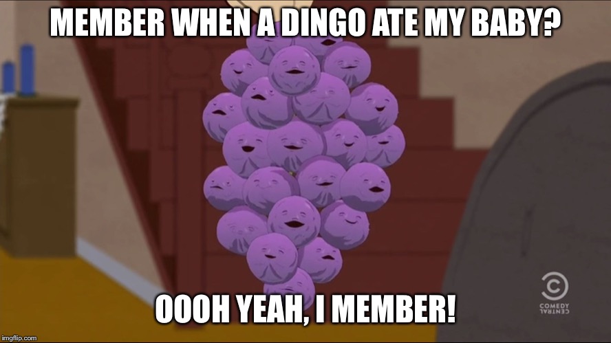 Member Berries | MEMBER WHEN A DINGO ATE MY BABY? OOOH YEAH, I MEMBER! | image tagged in memes,member berries | made w/ Imgflip meme maker