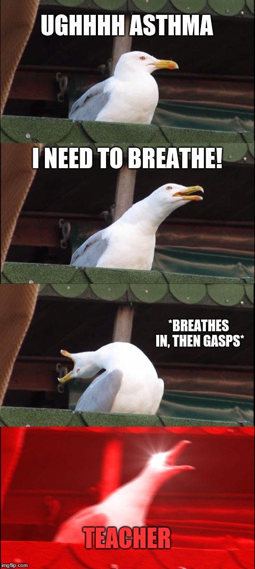 me in gym class | UGHHHH ASTHMA; I NEED TO BREATHE! *BREATHES IN, THEN GASPS*; TEACHER | image tagged in memes,inhaling seagull | made w/ Imgflip meme maker
