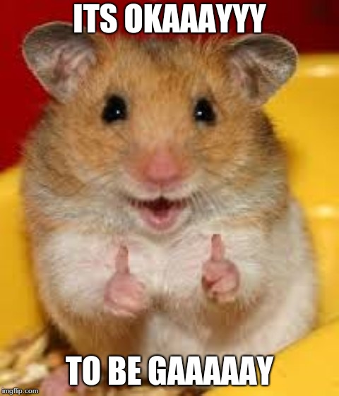Thumbs up hamster  | ITS OKAAAYYY TO BE GAAAAAY | image tagged in thumbs up hamster | made w/ Imgflip meme maker