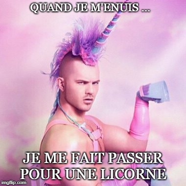 Unicorn MAN Meme | QUAND JE M'ENUIS ... JE ME FAIT PASSER POUR UNE LICORNE | image tagged in memes,unicorn man | made w/ Imgflip meme maker