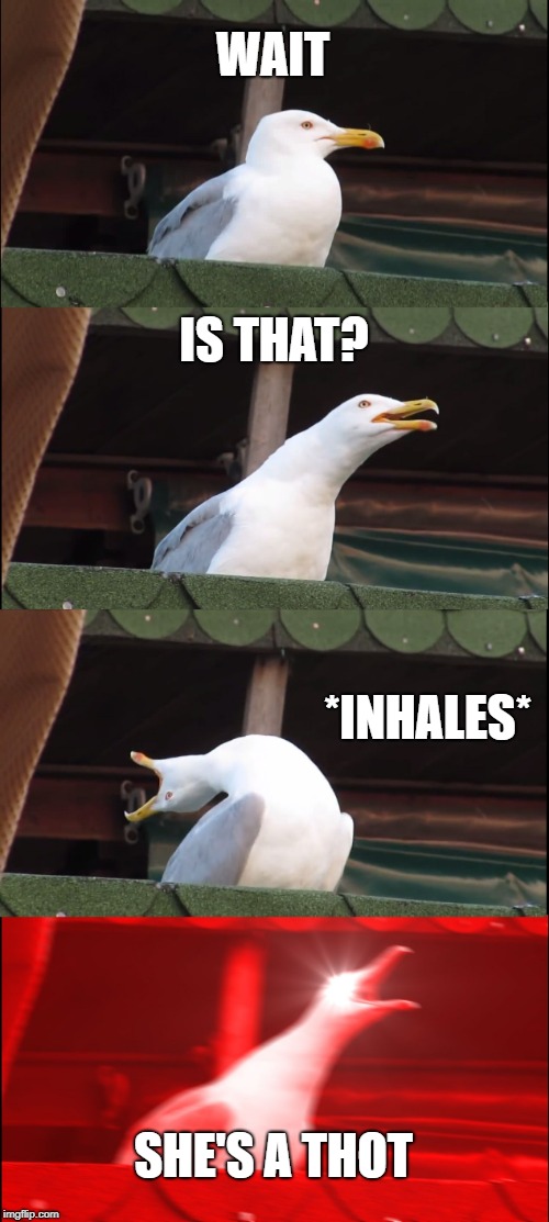 Inhaling Seagull | WAIT; IS THAT? *INHALES*; SHE'S A THOT | image tagged in memes,inhaling seagull | made w/ Imgflip meme maker