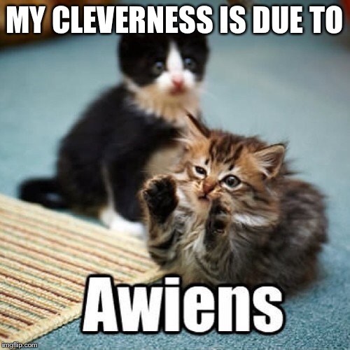 MY CLEVERNESS IS DUE TO | made w/ Imgflip meme maker
