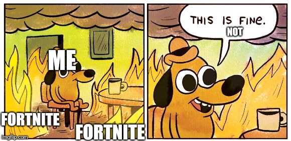 This Is Fine | NOT; ME; FORTNITE; FORTNITE | image tagged in this is fine dog | made w/ Imgflip meme maker