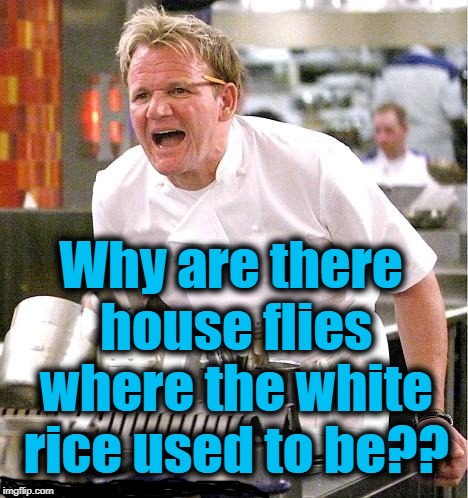 Ewww! Yuck! | Why are there house flies where the white rice used to be?? | image tagged in memes,chef gordon ramsay | made w/ Imgflip meme maker