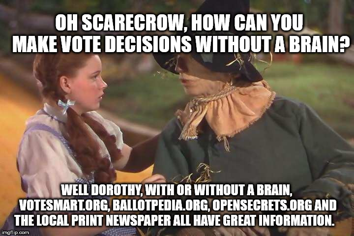 Not just another 'I voted' meme | OH SCARECROW, HOW CAN YOU MAKE VOTE DECISIONS WITHOUT A BRAIN? WELL DOROTHY, WITH OR WITHOUT A BRAIN, VOTESMART.ORG, BALLOTPEDIA.ORG, OPENSECRETS.ORG AND THE LOCAL PRINT NEWSPAPER ALL HAVE GREAT INFORMATION. | image tagged in dorothy and scarecrow,vote | made w/ Imgflip meme maker