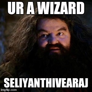 You're a wizard harry | UR A WIZARD SELIYANTHIVEARAJ | image tagged in you're a wizard harry | made w/ Imgflip meme maker