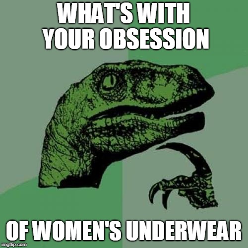 WHAT'S WITH YOUR OBSESSION OF WOMEN'S UNDERWEAR | image tagged in memes,philosoraptor | made w/ Imgflip meme maker