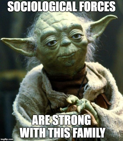 Star Wars Yoda | SOCIOLOGICAL FORCES; ARE STRONG WITH THIS FAMILY | image tagged in memes,star wars yoda | made w/ Imgflip meme maker