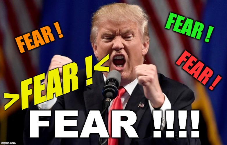 FEAR ! FEAR ! FEAR ! >FEAR !<; FEAR !!!! | image tagged in trump,fear,election | made w/ Imgflip meme maker