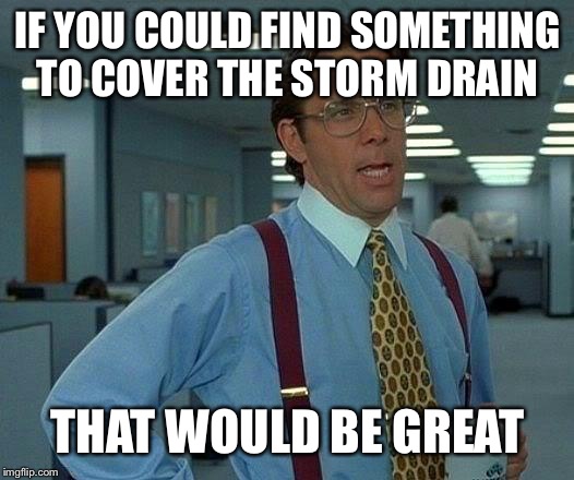 That Would Be Great Meme | IF YOU COULD FIND SOMETHING TO COVER THE STORM DRAIN; THAT WOULD BE GREAT | image tagged in memes,that would be great | made w/ Imgflip meme maker