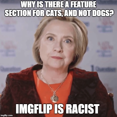 #dogawarenessmonth | WHY IS THERE A FEATURE SECTION FOR CATS,
AND NOT DOGS? IMGFLIP IS RACIST | image tagged in politics,memes,clinton,dogs | made w/ Imgflip meme maker