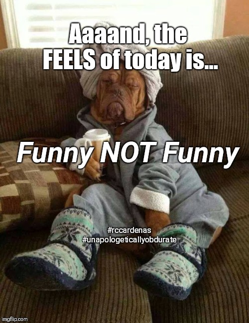Funny NOT Funny | Aaaand, the FEELS of today is... Funny NOT Funny; #rccardenas #unapologeticallyobdurate | image tagged in dog tired,funny memes,funny meme,life,real life | made w/ Imgflip meme maker