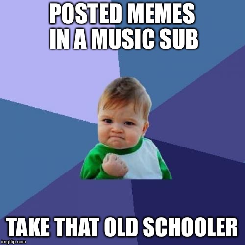Success Kid Meme | POSTED MEMES IN A MUSIC SUB; TAKE THAT OLD SCHOOLER | image tagged in memes,success kid | made w/ Imgflip meme maker
