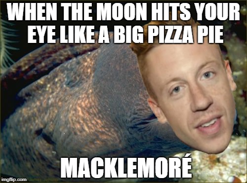 Macklemoré | WHEN THE MOON HITS YOUR EYE LIKE A BIG PIZZA PIE; MACKLEMORÉ | image tagged in macklemore,cheeky eel,macklemoray,when the moon hits your eye like a big pizza pie,shitpost,eel meme | made w/ Imgflip meme maker