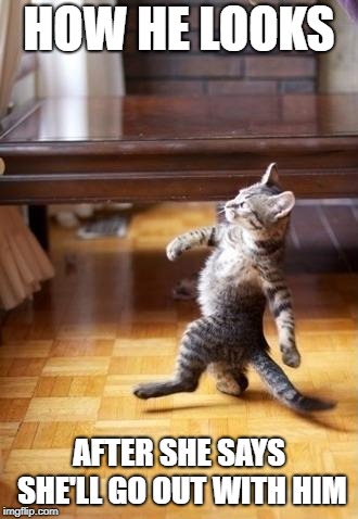 The strut | HOW HE LOOKS; AFTER SHE SAYS SHE'LL GO OUT WITH HIM | image tagged in memes,cool cat stroll,boy,girl | made w/ Imgflip meme maker