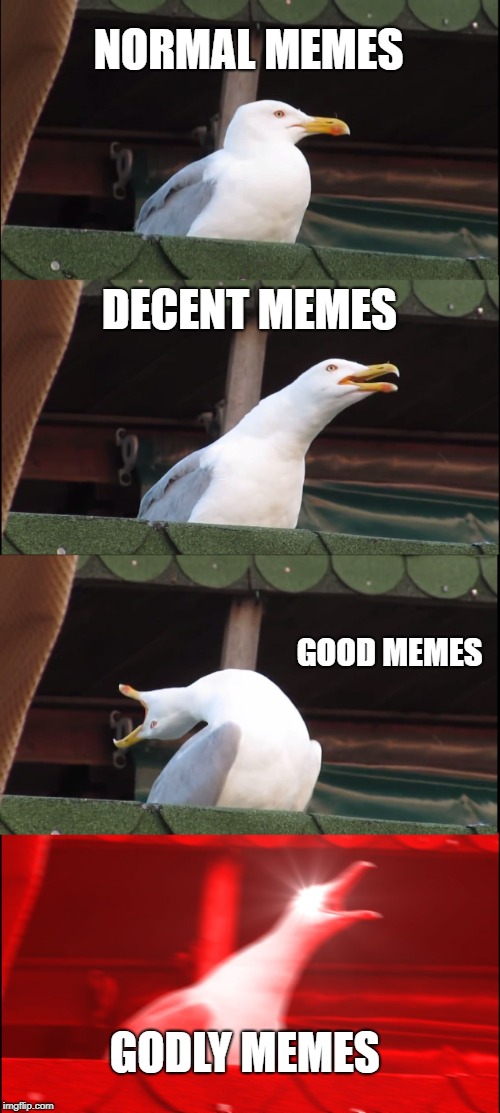Inhaling Seagull Meme | NORMAL MEMES; DECENT MEMES; GOOD MEMES; GODLY MEMES | image tagged in memes,inhaling seagull | made w/ Imgflip meme maker
