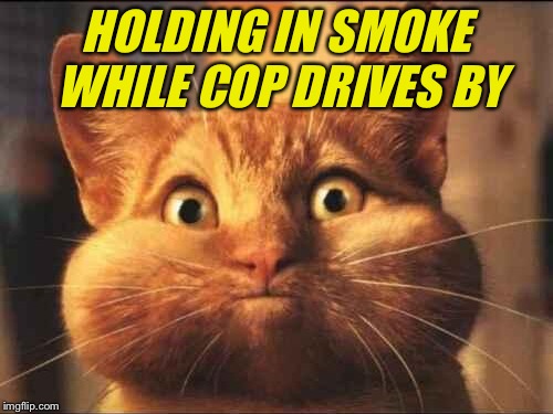HOLDING IN SMOKE WHILE COP DRIVES BY | made w/ Imgflip meme maker