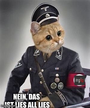 Grammar Nazi Cat | NEIN, DAS IST LIES ALL LIES | image tagged in grammar nazi cat | made w/ Imgflip meme maker
