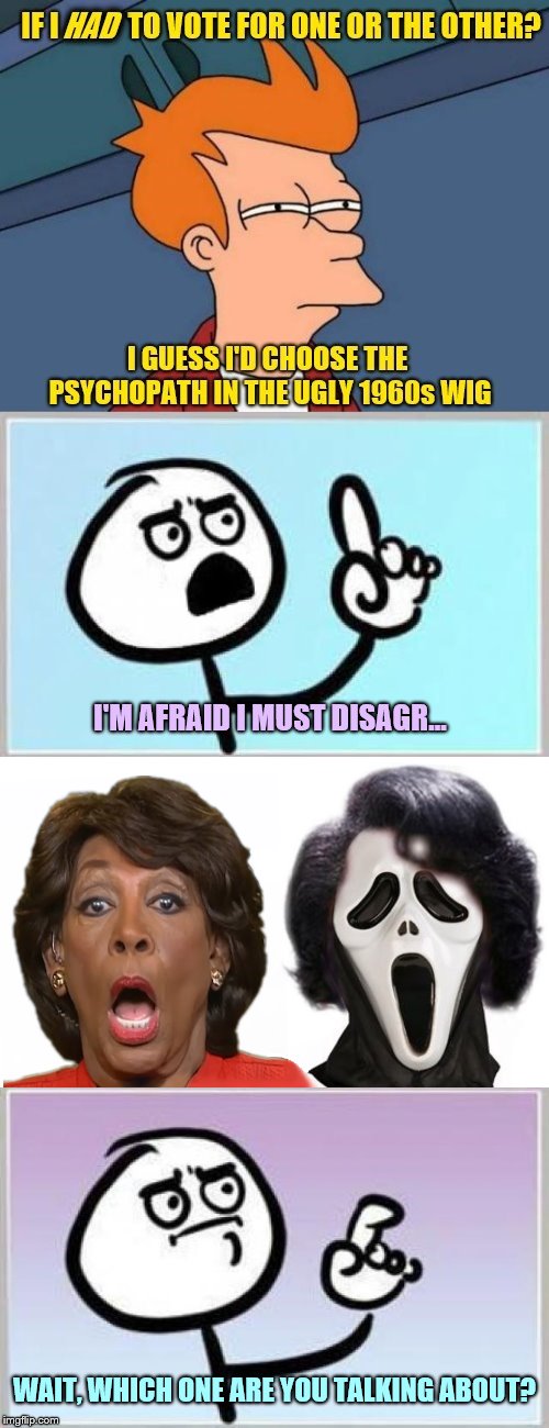 Decisions, Decisions... |  I'M AFRAID I MUST DISAGR... WAIT, WHICH ONE ARE YOU TALKING ABOUT? | image tagged in maxine waters,phunny,theelliot,yes that's james brown's hair on the scary movie guy,political,memes | made w/ Imgflip meme maker