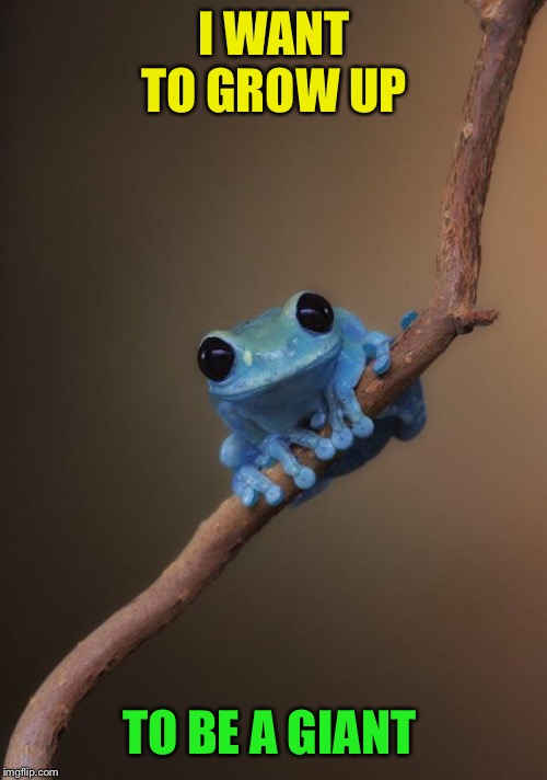 small fact frog | I WANT TO GROW UP TO BE A GIANT | image tagged in small fact frog | made w/ Imgflip meme maker