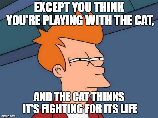 Futurama Fry Meme | EXCEPT YOU THINK YOU'RE PLAYING WITH THE CAT, AND THE CAT THINKS IT'S FIGHTING FOR ITS LIFE | image tagged in memes,futurama fry | made w/ Imgflip meme maker