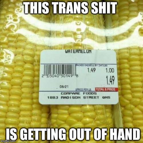 Trans movement is out of hand | THIS TRANS SHIT; IS GETTING OUT OF HAND | image tagged in trans,vegetables,fruits,out | made w/ Imgflip meme maker