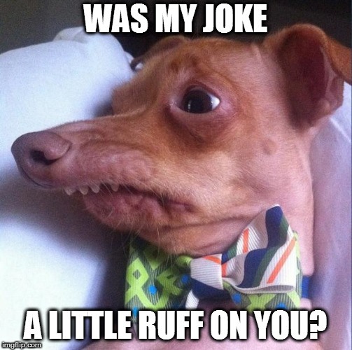 Tuna the dog (Phteven) | WAS MY JOKE A LITTLE RUFF ON YOU? | image tagged in tuna the dog phteven | made w/ Imgflip meme maker