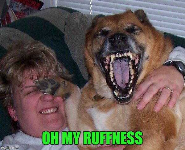 laughing dog | OH MY RUFFNESS | image tagged in laughing dog | made w/ Imgflip meme maker