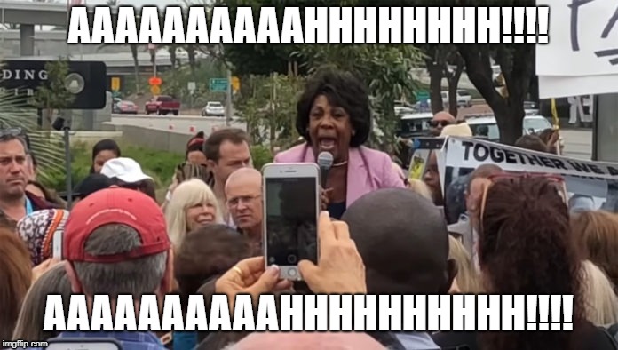 Maxine | AAAAAAAAAAHHHHHHHH!!!! AAAAAAAAAAHHHHHHHHHH!!!! | image tagged in maxine | made w/ Imgflip meme maker