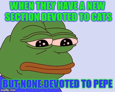 When pepe is forgotten | WHEN THEY HAVE A NEW SECTION DEVOTED TO CATS; BUT NONE DEVOTED TO PEPE | image tagged in pepe the frog,cats,memes,frogs | made w/ Imgflip meme maker