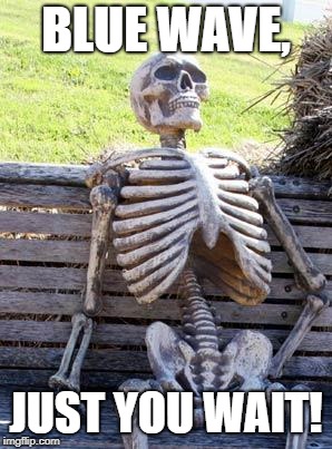 Waiting Skeleton Meme | BLUE WAVE, JUST YOU WAIT! | image tagged in memes,waiting skeleton | made w/ Imgflip meme maker