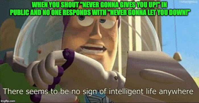 buzz lightyear | WHEN YOU SHOUT "NEVER GONNA GIVES YOU UP!" IN PUBLIC AND NO ONE RESPONDS WITH "NEVER GONNA LET YOU DOWN!" | image tagged in buzz lightyear | made w/ Imgflip meme maker