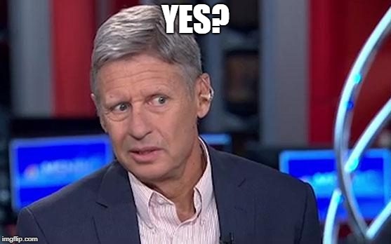 Gary Johnson | YES? | image tagged in gary johnson | made w/ Imgflip meme maker