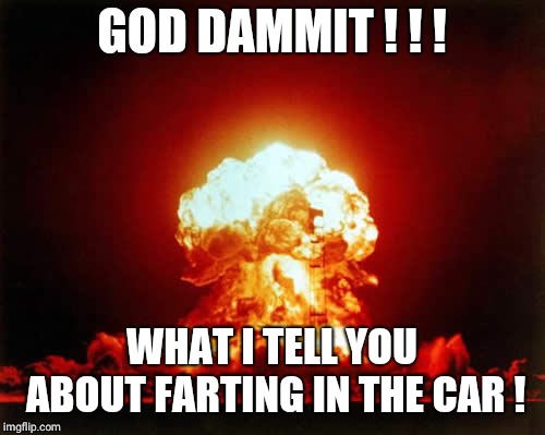 Nuclear Explosion | GOD DAMMIT ! ! ! WHAT I TELL YOU ABOUT FARTING IN THE CAR ! | image tagged in memes,nuclear explosion | made w/ Imgflip meme maker