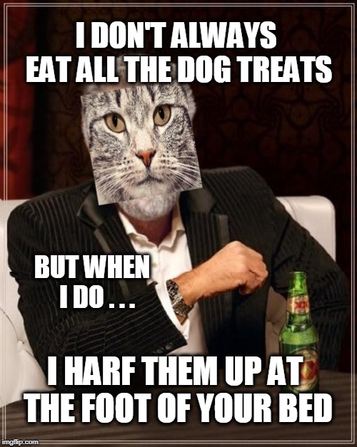 Dog Treats | I DON'T ALWAYS EAT ALL THE DOG TREATS; BUT WHEN  I DO . . . I HARF THEM UP AT THE FOOT OF YOUR BED | image tagged in cat meme,the most interesting cat in the world,puke,treats,trick or treat | made w/ Imgflip meme maker