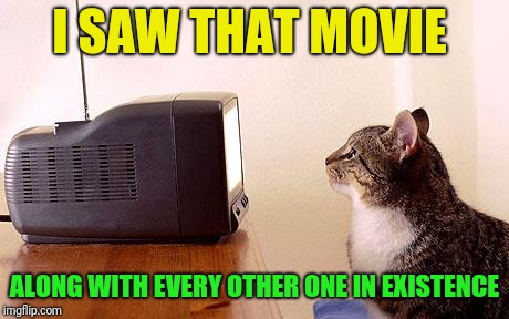 cat watching tv | I SAW THAT MOVIE ALONG WITH EVERY OTHER ONE IN EXISTENCE | image tagged in cat watching tv | made w/ Imgflip meme maker