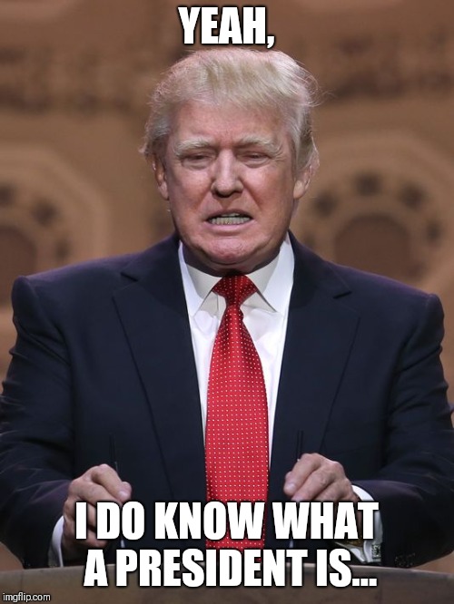 Donald Trump | YEAH, I DO KNOW WHAT A PRESIDENT IS... | image tagged in donald trump | made w/ Imgflip meme maker