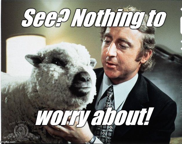 Baaa | See? Nothing to worry about! | image tagged in baaa | made w/ Imgflip meme maker