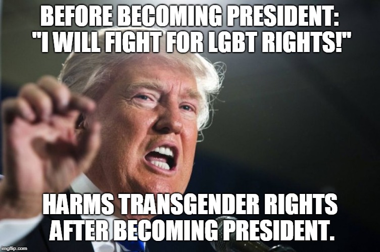donald trump | BEFORE BECOMING PRESIDENT: "I WILL FIGHT FOR LGBT RIGHTS!"; HARMS TRANSGENDER RIGHTS AFTER BECOMING PRESIDENT. | image tagged in donald trump,lgbt,memes,transgender,donald trump is an idiot,stupid conservatives | made w/ Imgflip meme maker